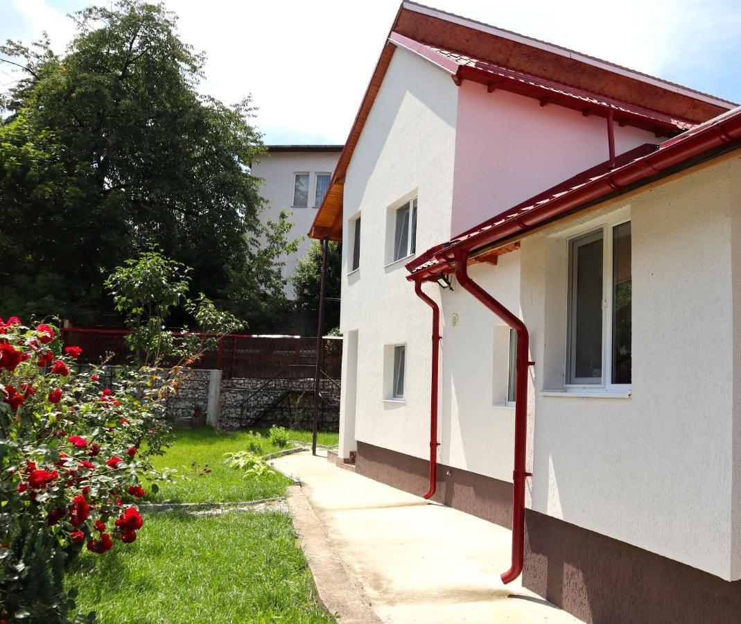 Casa Luca Apartment Horezu